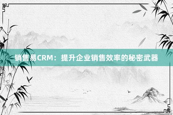 销售易CRM：提升企业销售效率的秘密武器